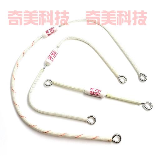 电饭锅煲陶瓷温度保险管丝二极管热敏电阻器 RF250V 20A 216度