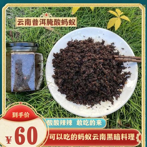 野生酸蚂蚁云南普洱凉拌药用食材