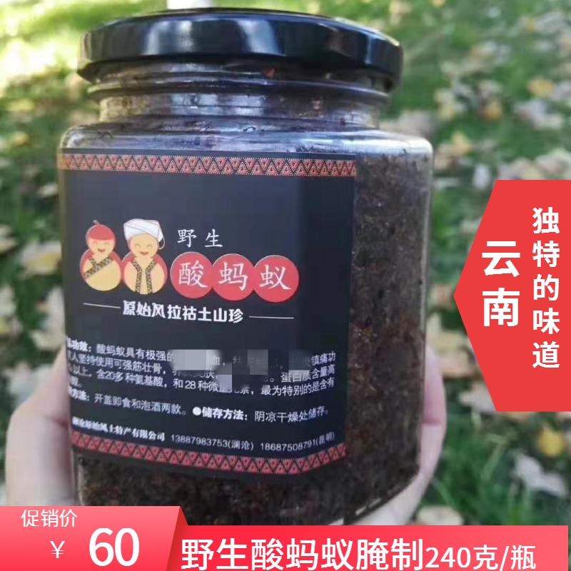 野生酸蚂蚁云南普洱凉拌药用食材