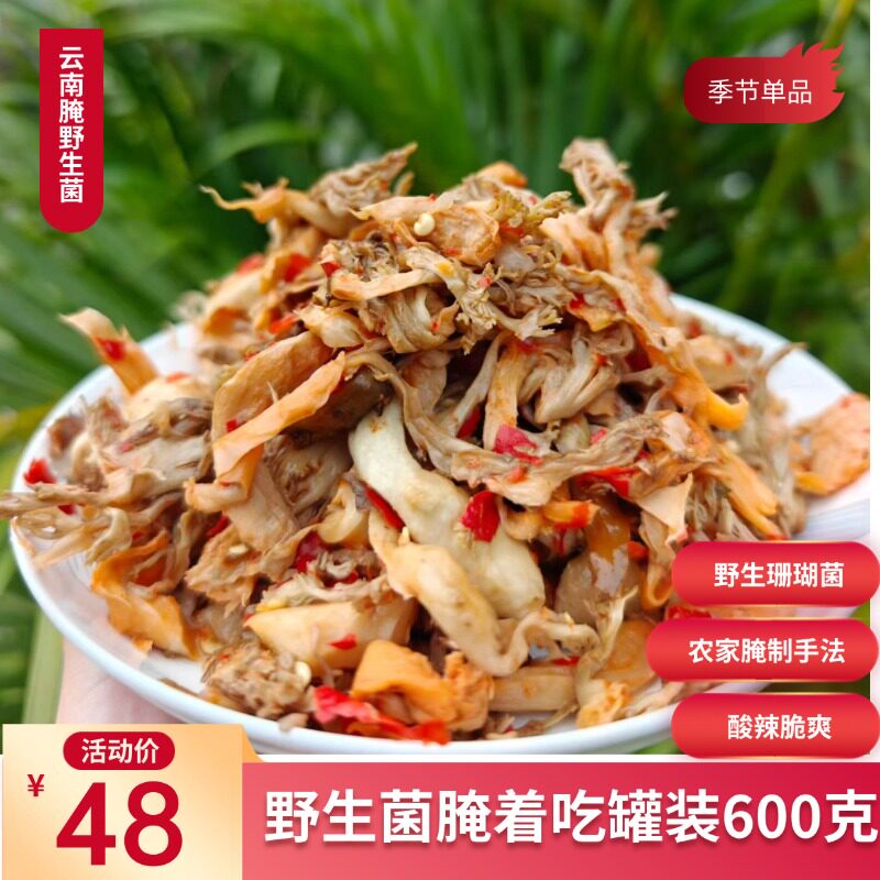 腌刷把菌云南腌野生菌腌马屁泡腌奶浆菌腌刷把菌珊瑚菌酸辣下饭菜