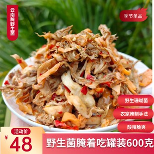 腌刷把菌云南腌野生菌腌马屁泡腌奶浆菌腌刷把菌珊瑚菌酸辣下饭菜