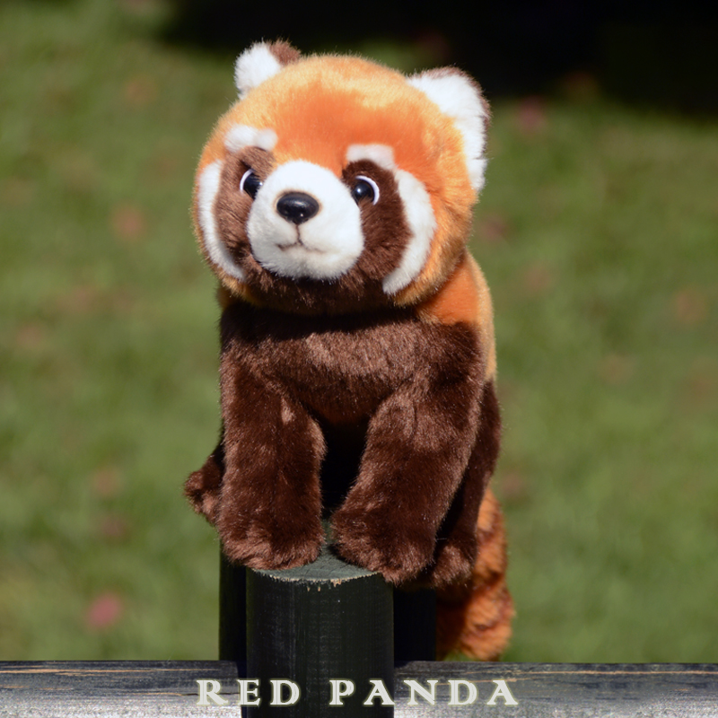 可爱小熊猫公仔仿真玩偶小浣熊