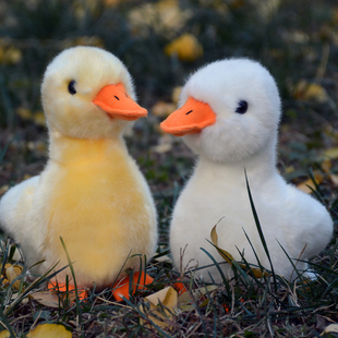可爱小鸭子毛绒玩具小黄鸭玩偶仿真鸭公仔小鸭嘎嘎布娃娃儿童礼物