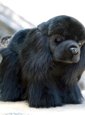 可爱可卡犬公仔仿真黑色狗狗毛绒玩具英卡猎犬玩偶布娃娃男女礼物