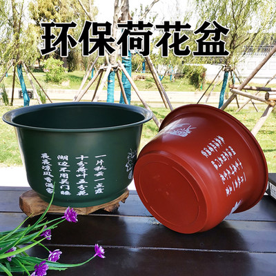 庭院荷花盆莲花盆树脂大号无孔