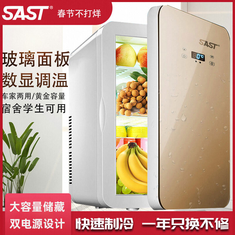 sast迷你小冰箱冷冻冷藏保鲜家用租房宿舍办公室母乳小型车载冰柜