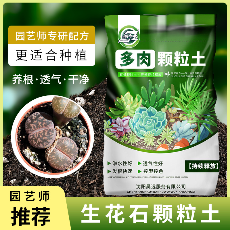 坤宁王生石花颗粒土疏松透气