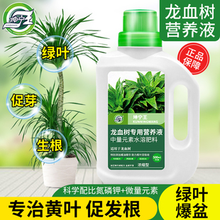 龙血树专用营养液肥盆栽植物室内绿植养花肥通用氮磷钾肥