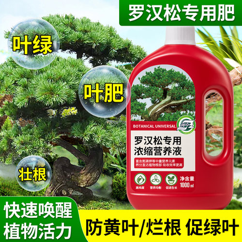 罗汉松专用营养液1000ml促绿壮根