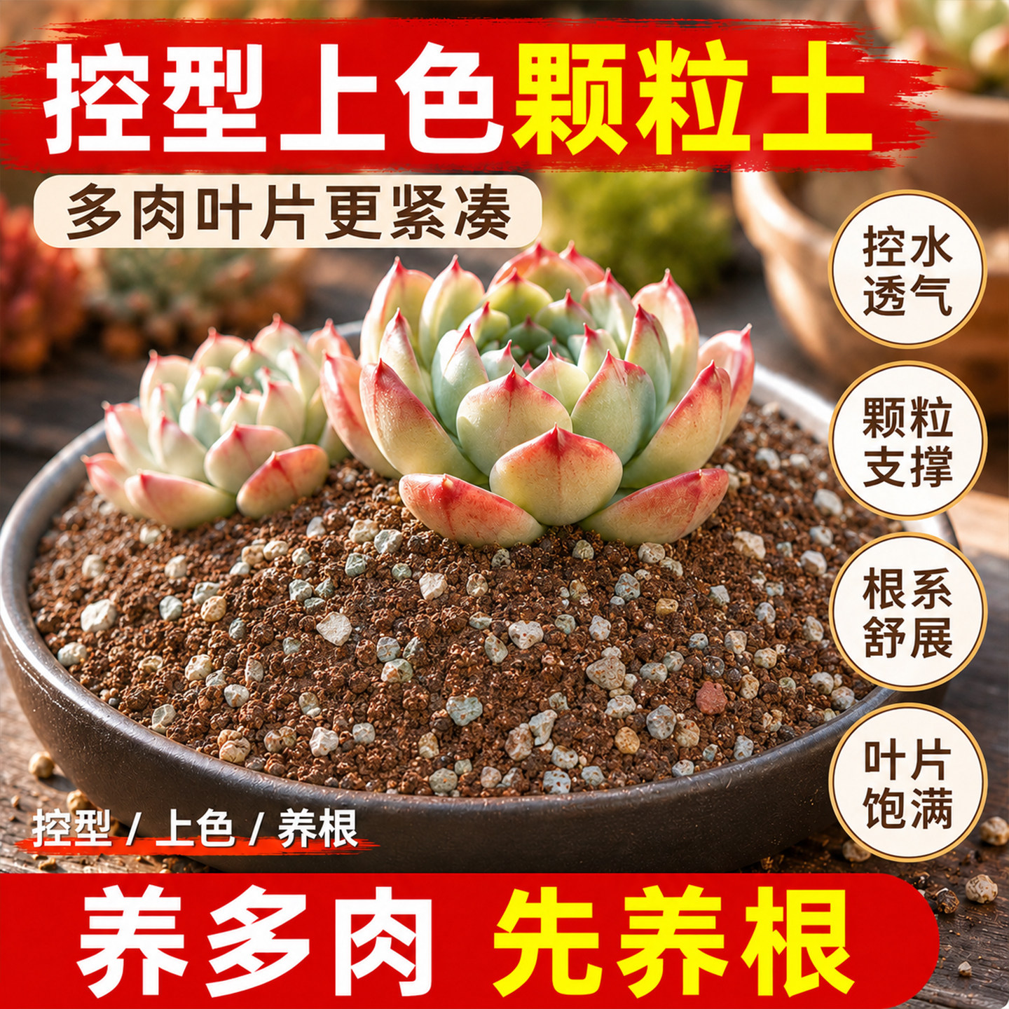 多肉专用颗粒土养多肉种植营养土仙人球肉肉植物扦插土壤铺面石