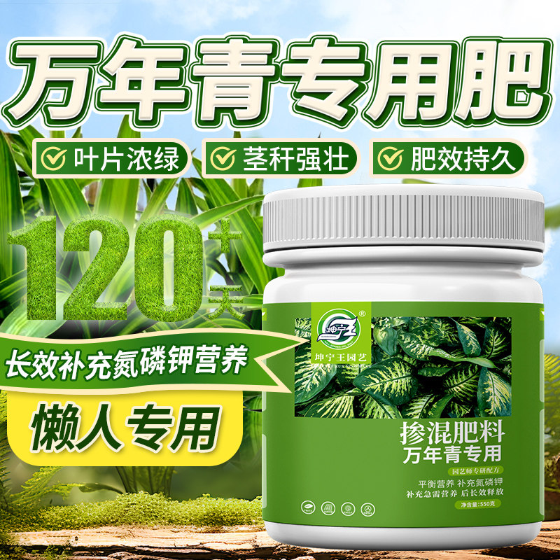 万年青专用肥料四季通用型复合肥家庭盆栽植物开花生根缓释颗粒肥,鲜花速递/花卉仿真/绿植园艺,家庭园艺肥料,淘宝优惠券,粉丝福利购,淘宝优惠卷