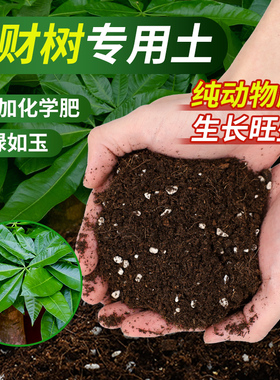 发财树专用营养土发财树专用肥防枯叶黄叶烂根盆栽绿植种植土壤