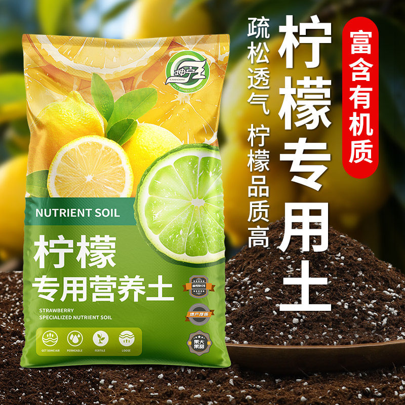 柠檬树专用枝叶茂密疏松透气图片