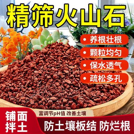 红火山石颗粒火山岩铺底铺面兰花专用土多肉营养土水族鱼缸垫底砂