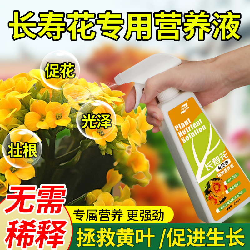 长寿花免稀释专用营养液叶面肥