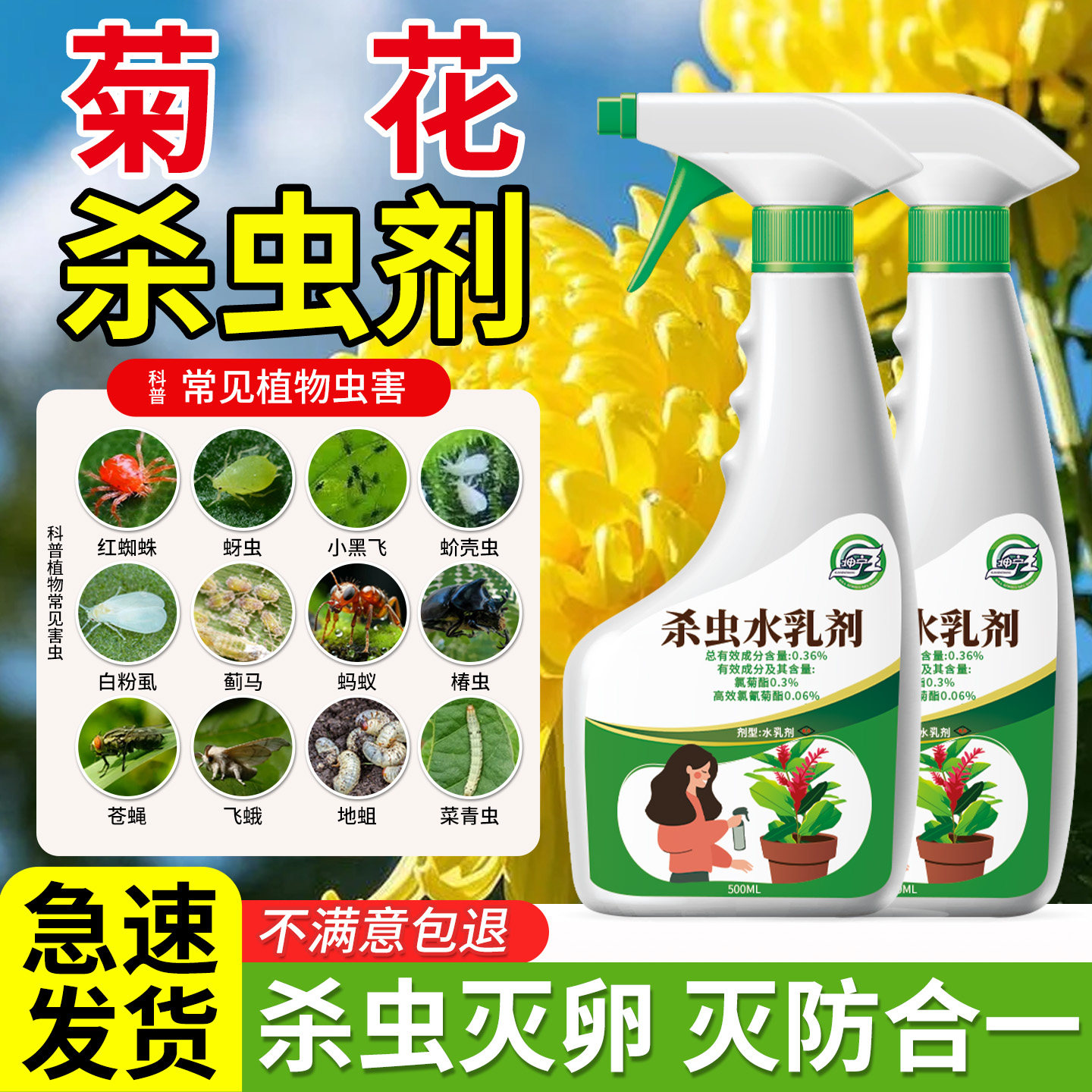 菊花杀虫剂蚜虫花卉牙虫药芽虫蜜虫腻虫除虫驱虫药花虫喷雾非专用