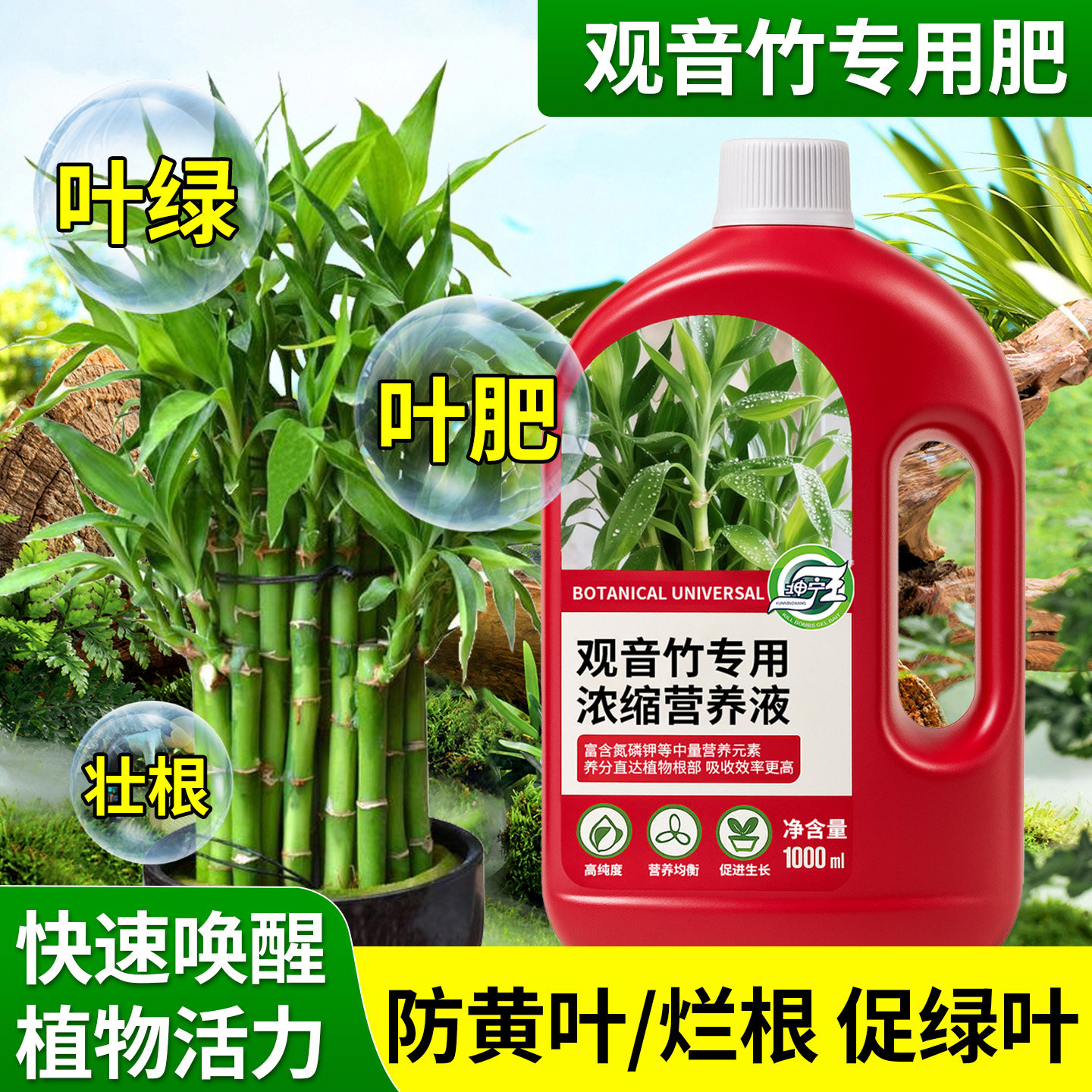 观音竹专用植物营养液水培带根营养液绿植盆栽液体肥料生根治黄叶,鲜花速递/花卉仿真/绿植园艺,家庭园艺肥料,淘宝优惠券,粉丝福利购,淘宝优惠卷