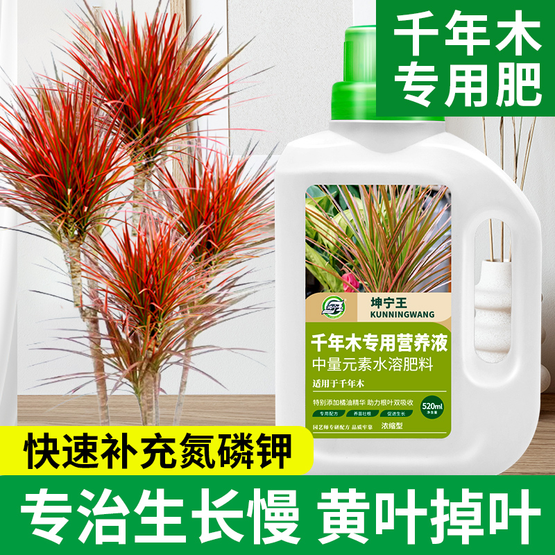 千年木专用有机水溶肥营养液