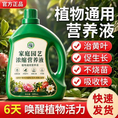 营养液植物通用型室内盆栽肥料
