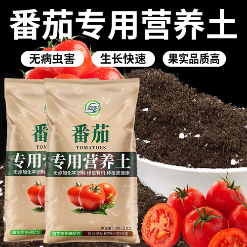 番茄专用土果实品质高口感好