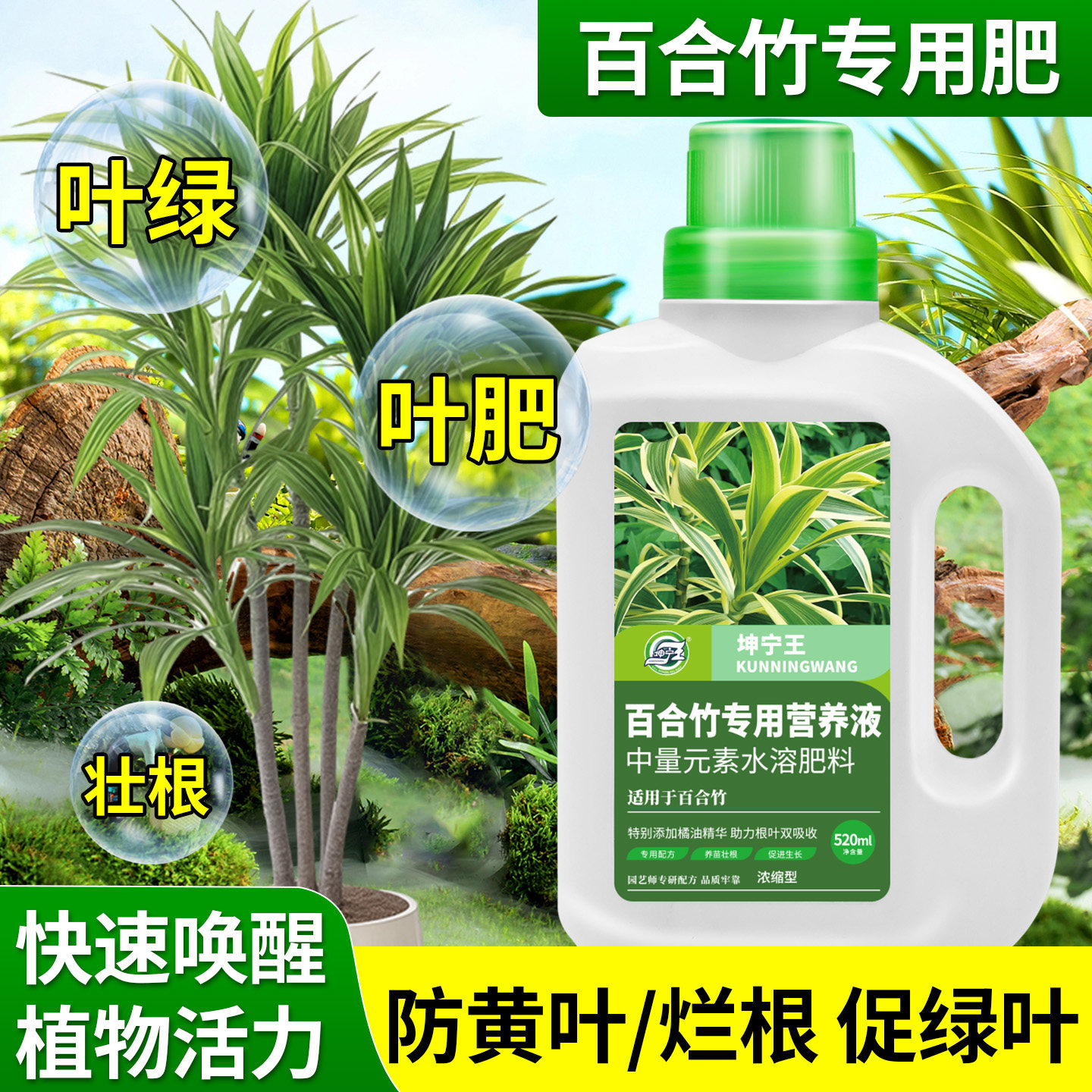 百合竹专用营养液金边百合竹专用肥料专治叶子发黄养护绿植水溶肥,鲜花速递/花卉仿真/绿植园艺,家庭园艺肥料,淘宝优惠券,粉丝福利购,淘宝优惠卷