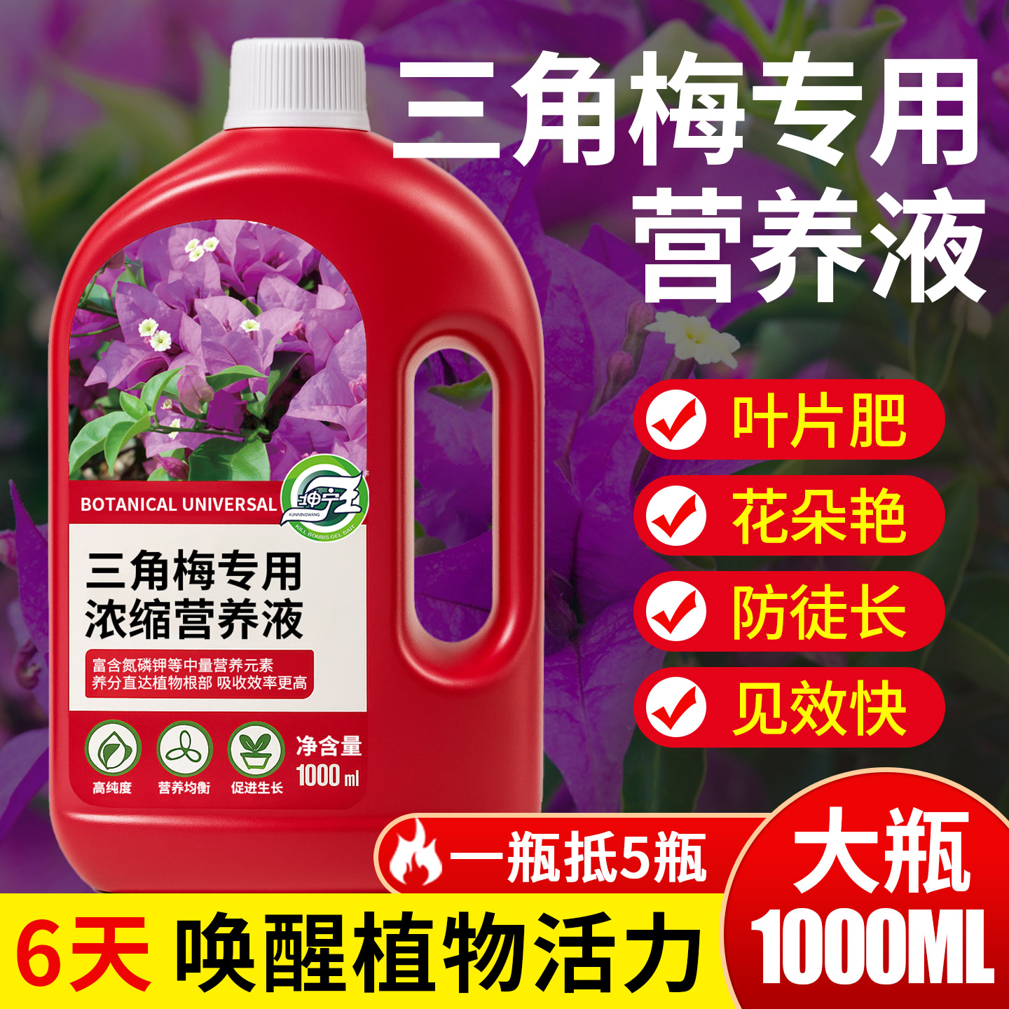 重瓣三角梅四季开花专用肥