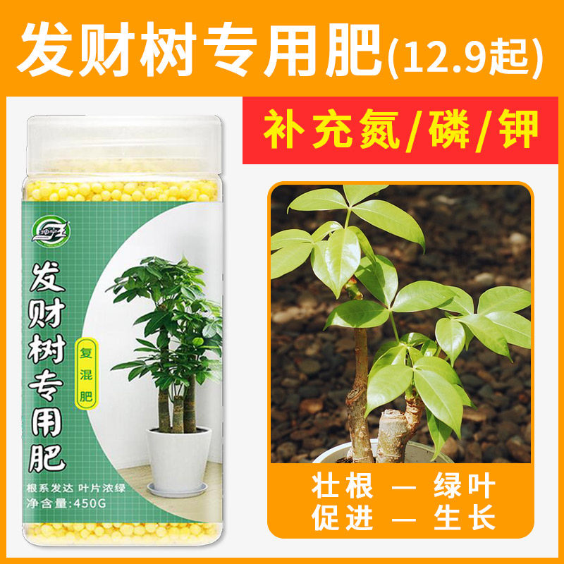 发财树专用肥酸性防黄叶家用室内绿植盆栽肥料通用颗粒缓释复合肥 坤宁王园艺旗舰店 淘优券