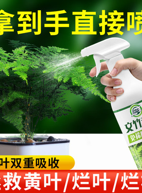 免稀释文竹专用营养液肥料家用盆栽植物液体肥室内养花绿植通用型