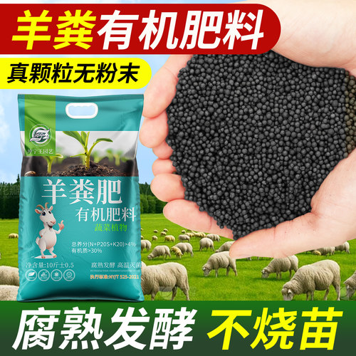 羊粪有机肥腐熟发酵蔬菜专用