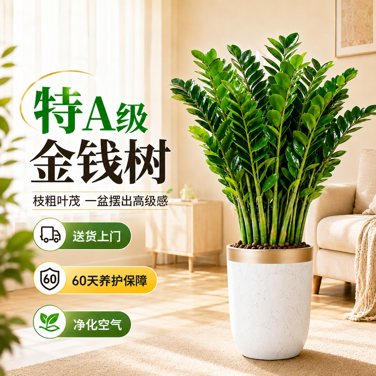 金钱树盆栽客厅大花盆旺宅树办公室内大型好养绿植物乔迁摇钱串子