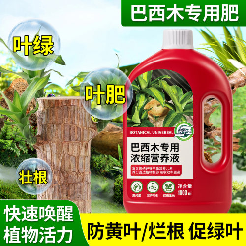 巴西木专用营养液1000ml水培可用