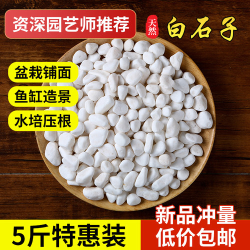 鹅卵石天然雨花石小白石子多肉铺面盆栽花盆庭院造景装饰白色石头