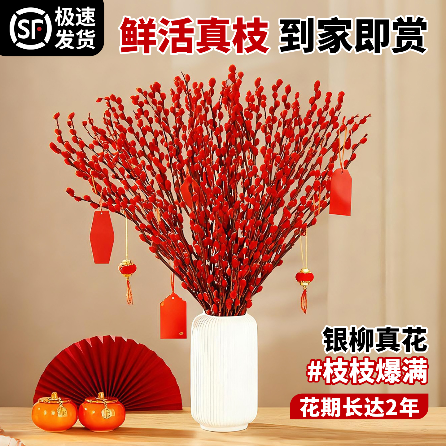 银柳真花鲜枝干花摆件室内客厅鲜花绿植新年年宵花卉植物过年春节