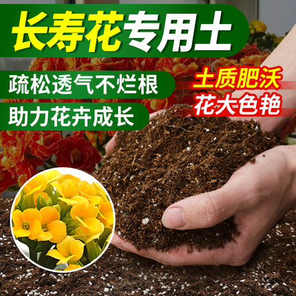 长寿花专用营养土养花通用型营养土种长寿花盆栽土肥有机泥土肥料