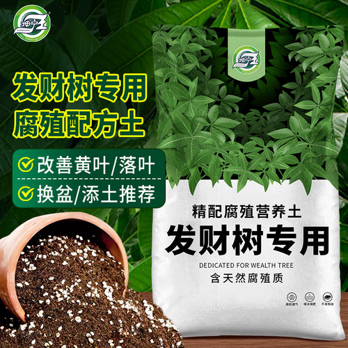 发财树专用土发财树专用营养土绿植通用型家用种植土绿植有机土壤