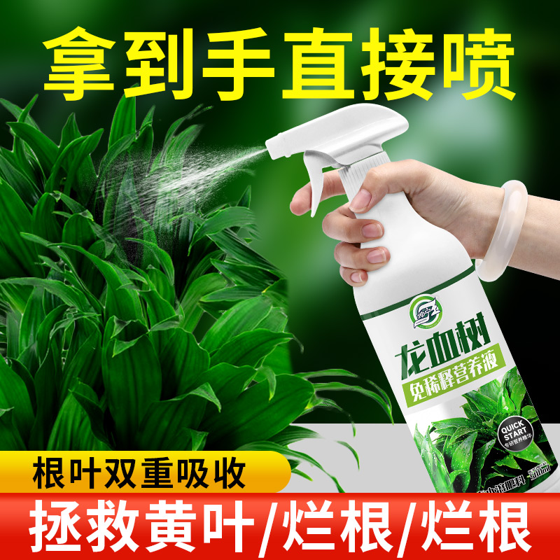 龙血树专用肥料营养液盆栽养花用