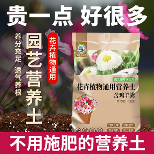 园艺营养土花土通用型种花家用种植盆栽土有机种菜土壤专用养花土