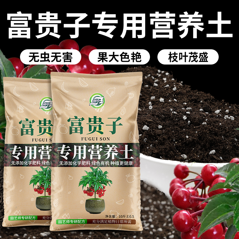 富贵子专用土促结果防黄叶防烂根