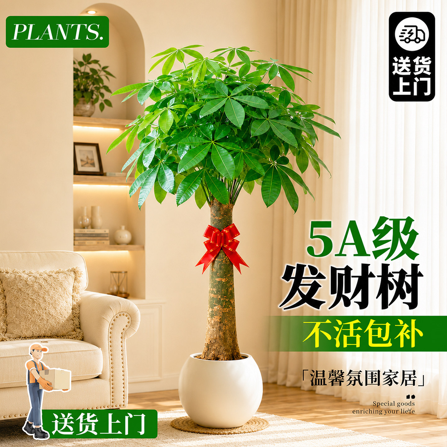 发财树客厅大盆栽办公室大型绿植图片