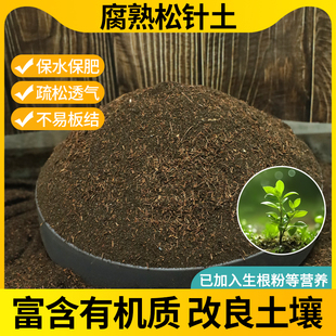 松针腐殖土养花通用专用土天然腐熟松针土君子兰花多肉专用营养土