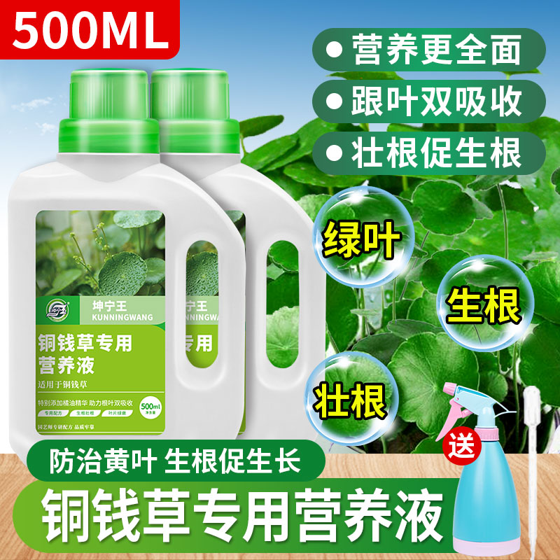 铜钱草专用肥营养液水养植物家用盆栽通用型水培钱币水培花肥 鲜花速递/花卉仿真/绿植园艺 家庭园艺肥料 原图主图