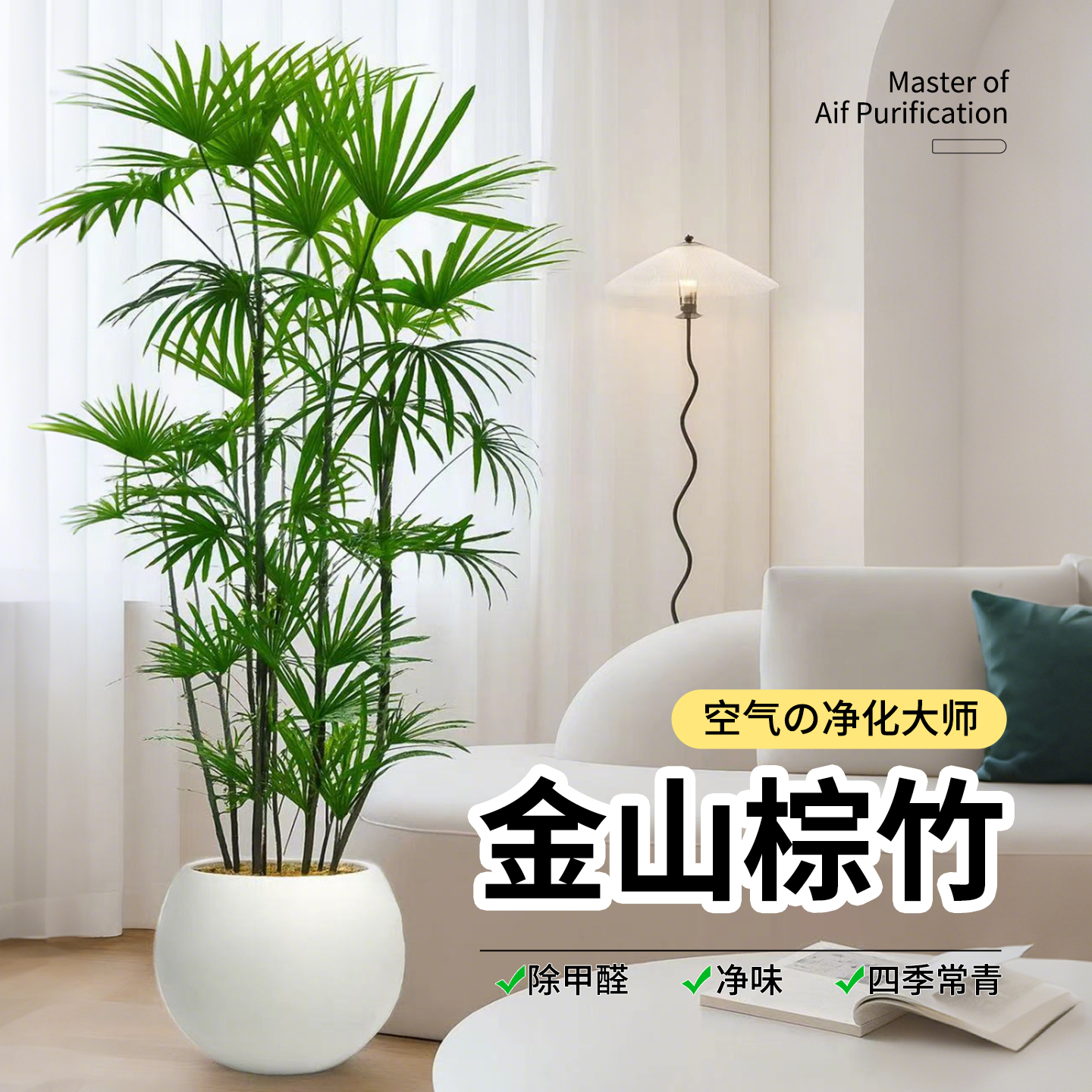 小叶棕竹客厅绿植室内落地真花