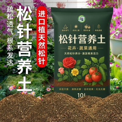 天然松针腐殖土发酵腐熟