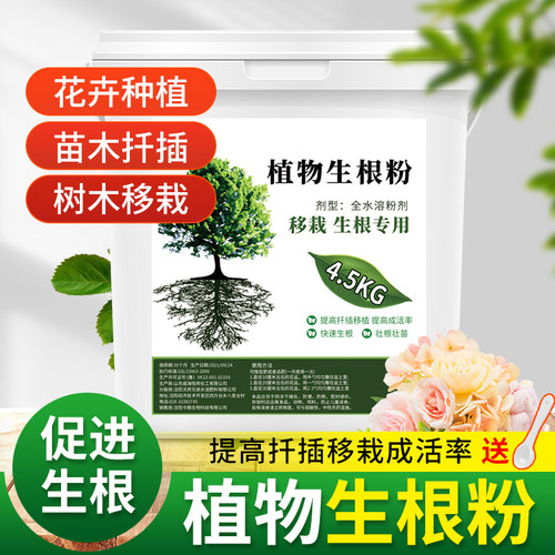 坤宁王植物生根粉高纯度易生根