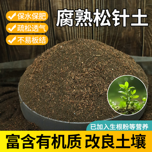 松针腐殖土养花通用专用土天然腐熟松针土君子兰花多肉专用营养土