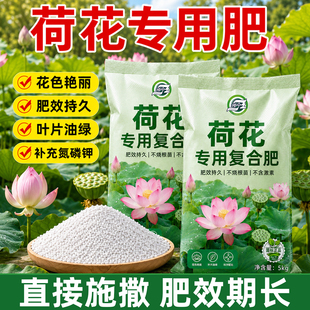 荷花专用复合肥补充氮磷钾正品肥促进开花肥效持久花色艳丽颗粒肥