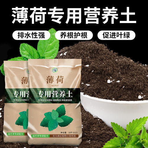 薄荷专用土疏松透气枝叶茂盛