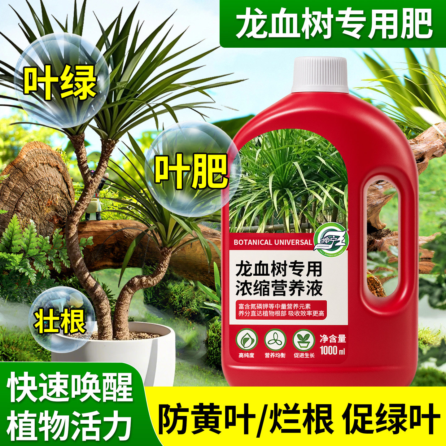 龙血树专用植物营养液龙须树室内绿植盆栽治黄叶干尖通用型肥料,鲜花速递/花卉仿真/绿植园艺,家庭园艺肥料,淘宝优惠券,粉丝福利购,淘宝优惠卷