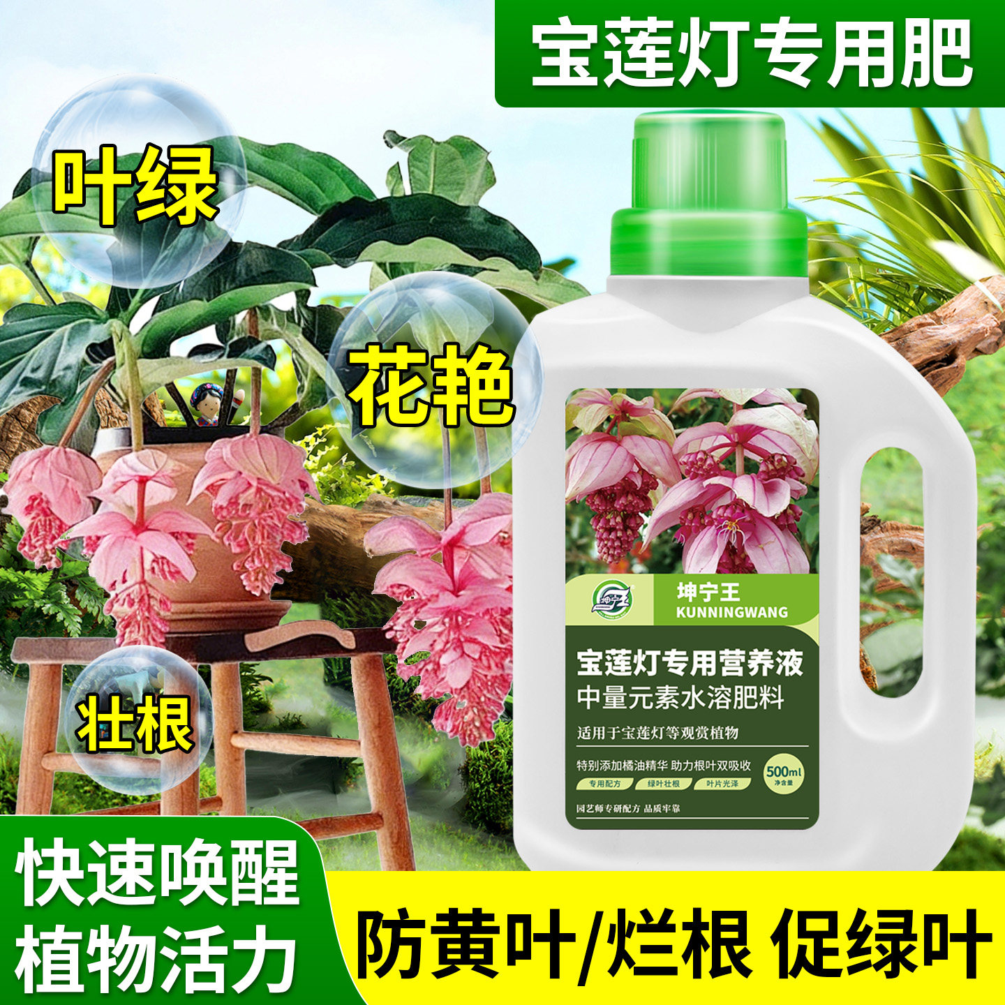宝莲灯专用水溶肥营养液植物花卉肥料防黄叶壮根催花增色预防黑斑,鲜花速递/花卉仿真/绿植园艺,家庭园艺肥料,淘宝优惠券,粉丝福利购,淘宝优惠卷