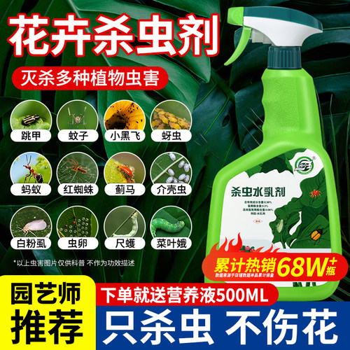 植物杀虫剂花卉月季红蜘蛛除虫药
